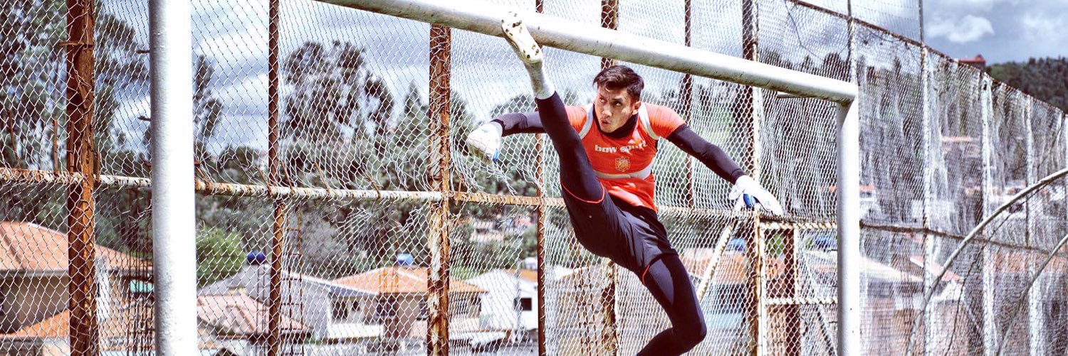 Hamilton Piedra banner