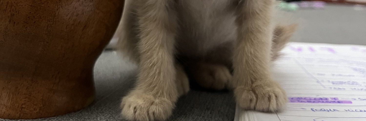 stefyane's profile banner image