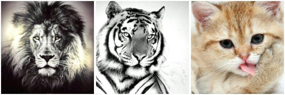 NuriaCaselo's profile banner image