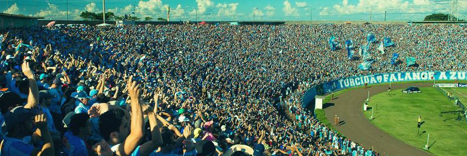 Juliana Ferraz banner