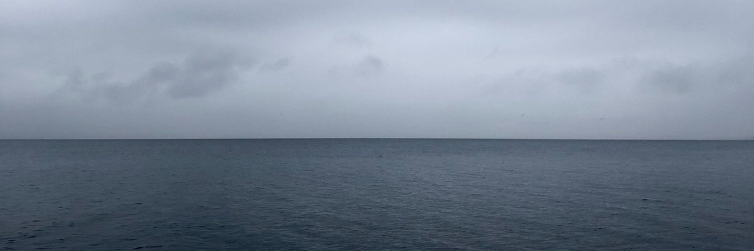 sribler's profile banner image