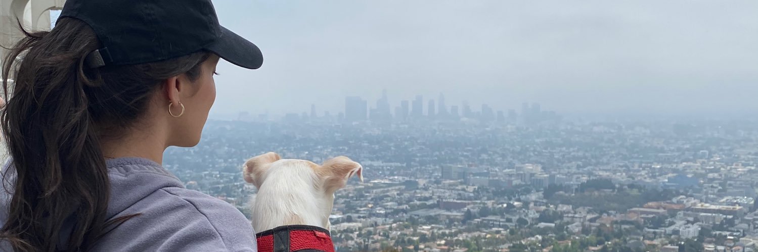 Stephanie Arcila banner