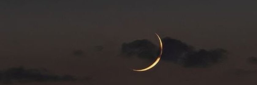 vaalann's profile banner image
