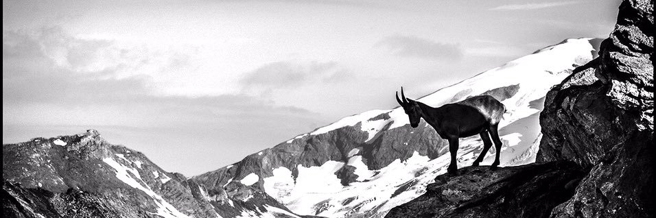 AmetAlain's profile banner image