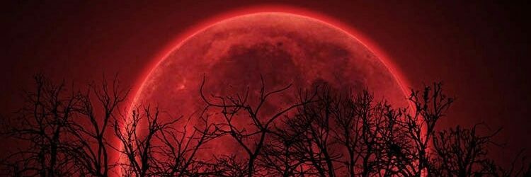 PATIMA_J's profile banner image