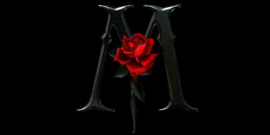 misfer1422's profile banner image