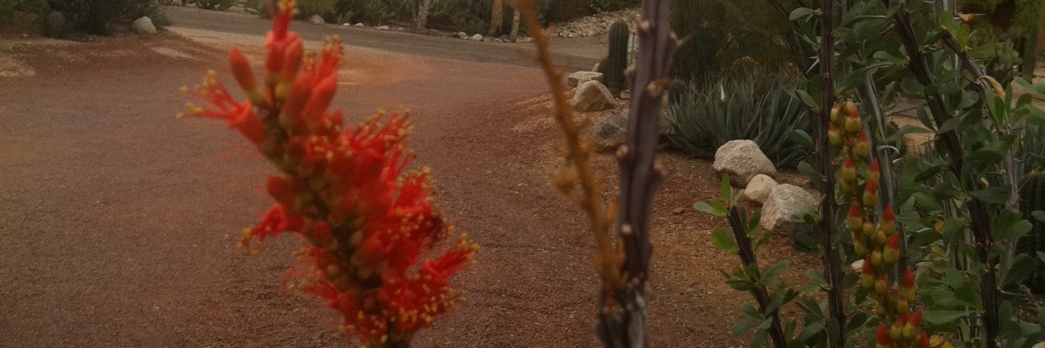 Mike Smith @padremiguel.b_s_k_y.social banner