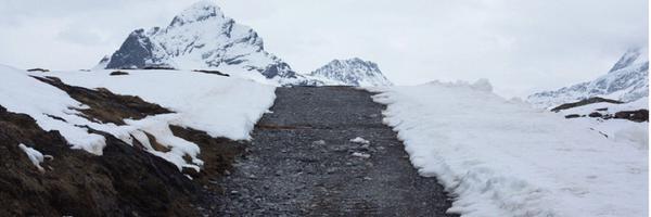 AmieMilne Profile Banner