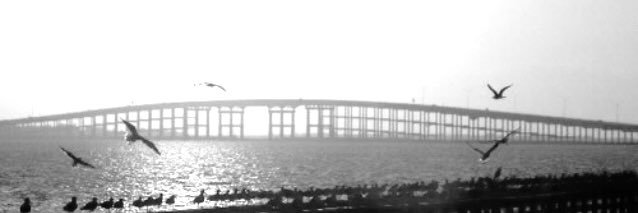 Anabel Romero banner