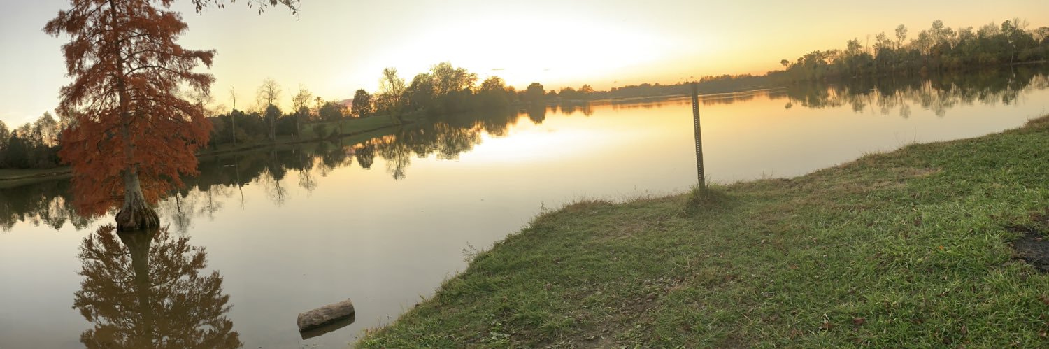 sweetdee321's profile banner image