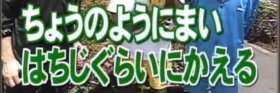 114_katsu2's profile banner image