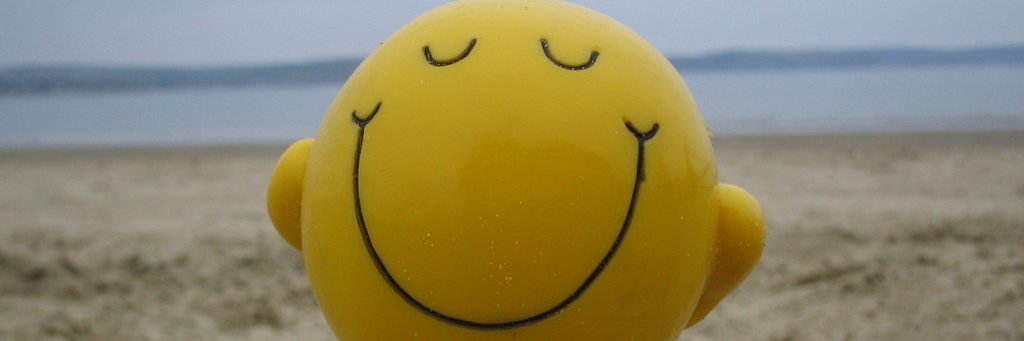 CindyHenexson's profile banner image