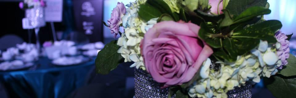 EventswithViz's profile banner image