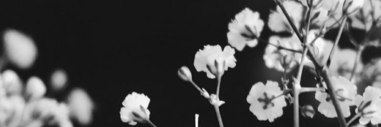 candacee_lynn's profile banner image