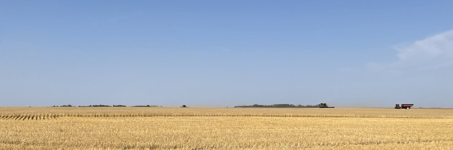 ScottDPettigrew's profile banner image