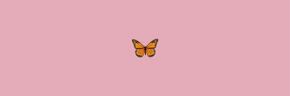 🌷 banner