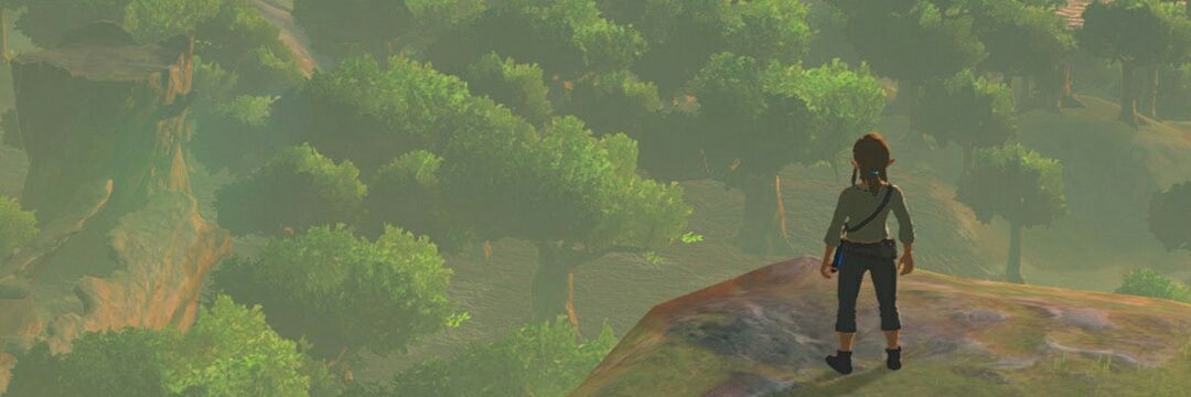 NicLinnet's profile banner image