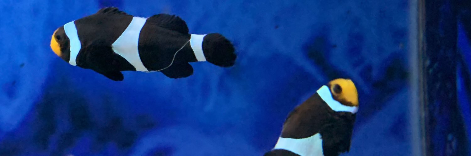 edcanoc's profile banner image