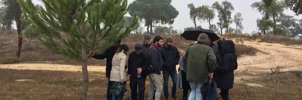 Piet Rombouts banner