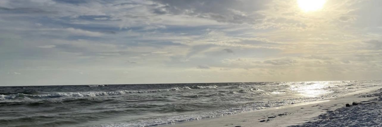 deidre_enez's profile banner image