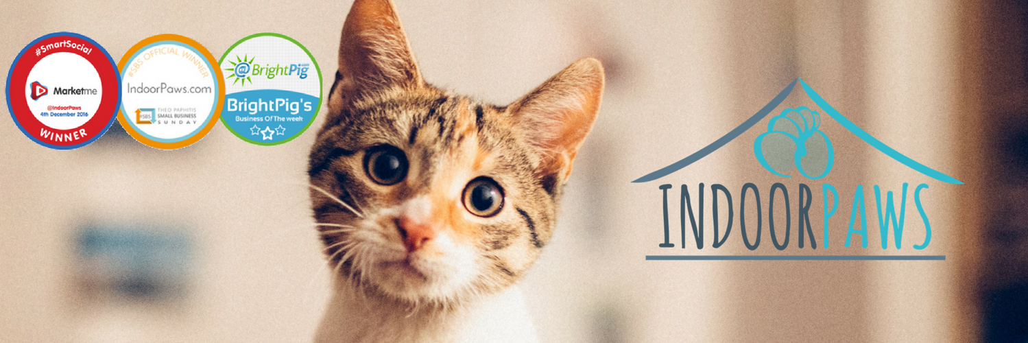 IndoorPaws's profile banner image