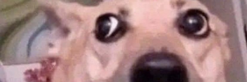 mathricardo_'s profile banner image