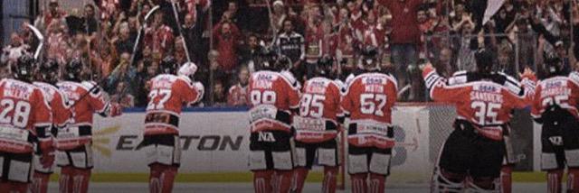 Markus Gustavsson banner