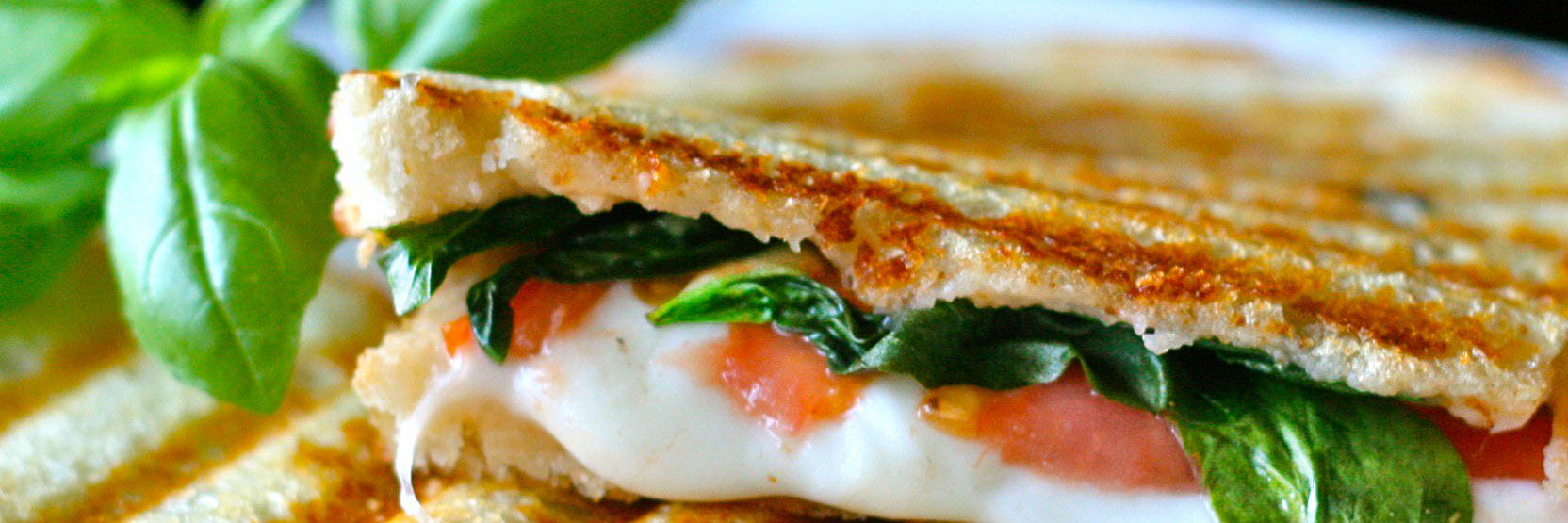 Best Panini Press banner