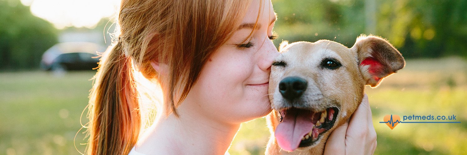 Petmeds's profile banner image