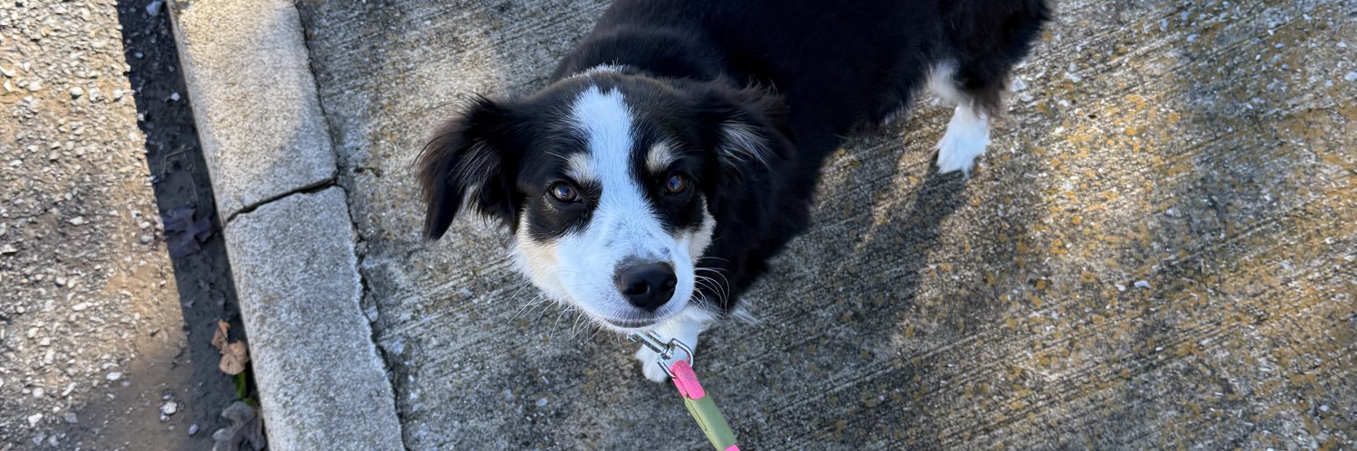 James Hilyard banner
