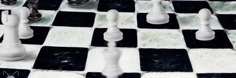 SilencelsSilver's profile banner image