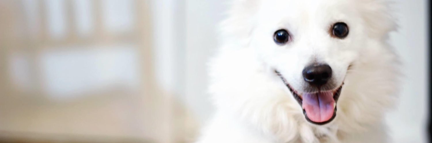 ohaicrystal's profile banner image