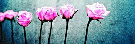 __inxs_'s profile banner image