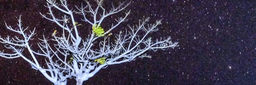 _stiaaw's profile banner image