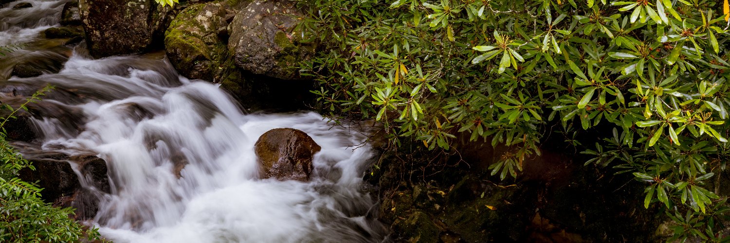 TN State Parks banner