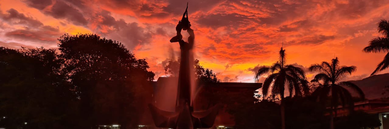 Robinsson9's profile banner image