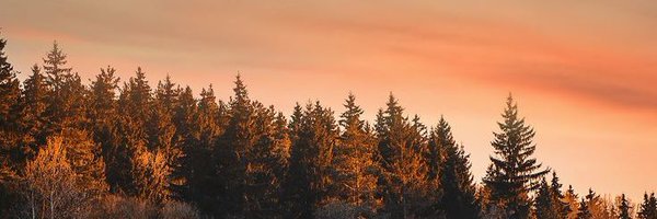 S_Moubtadi Profile Banner