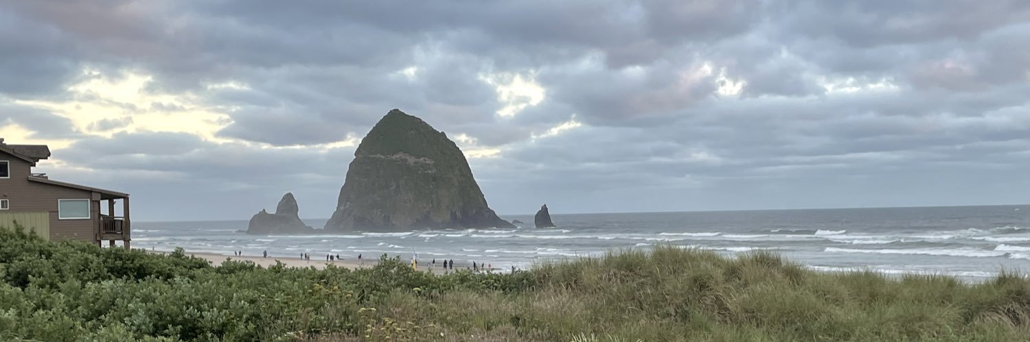 Dr. Cindy Murphy, LPC, ACS banner