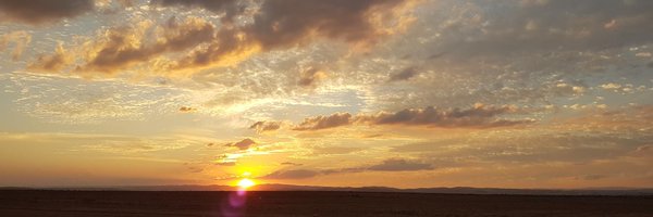 SaraKhNabil Profile Banner