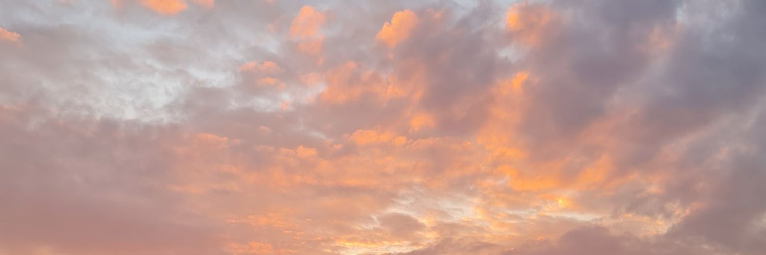 kitapcimbizi's profile banner image