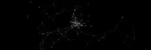 Max 🕸 🌻 banner