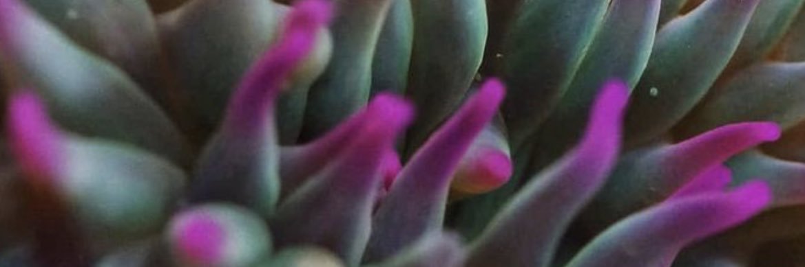 kelly11245's profile banner image