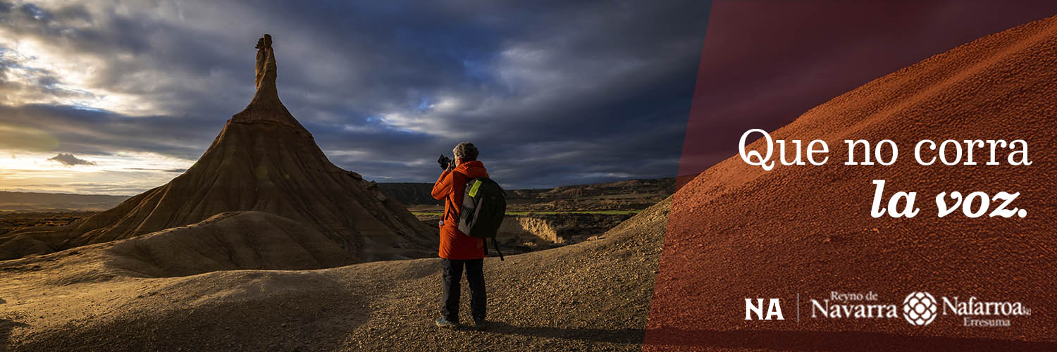 Visit Navarra banner