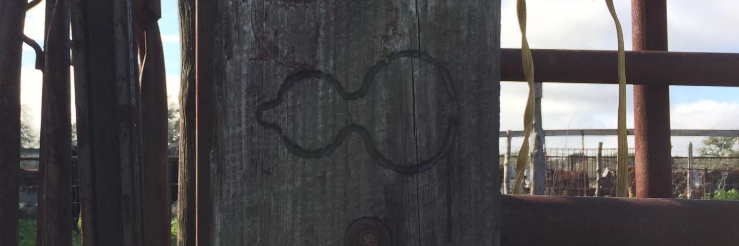 5Coates's profile banner image