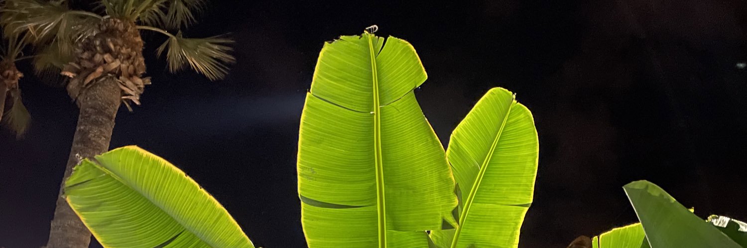 rozaga_'s profile banner image