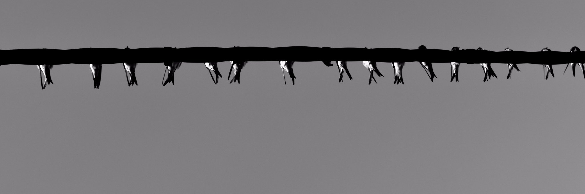 jdca2a's profile banner image
