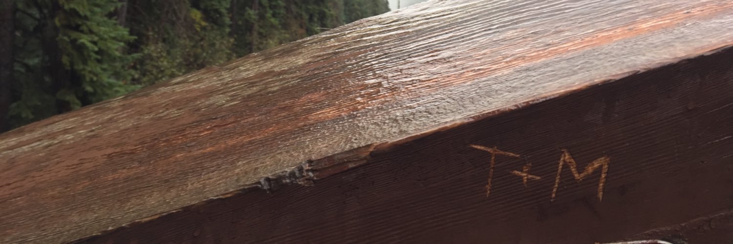 TylerGaultier's profile banner image