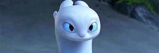 LiightFurry's profile banner image