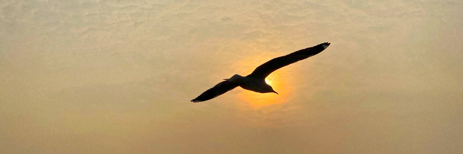 chhayakanrt's profile banner image