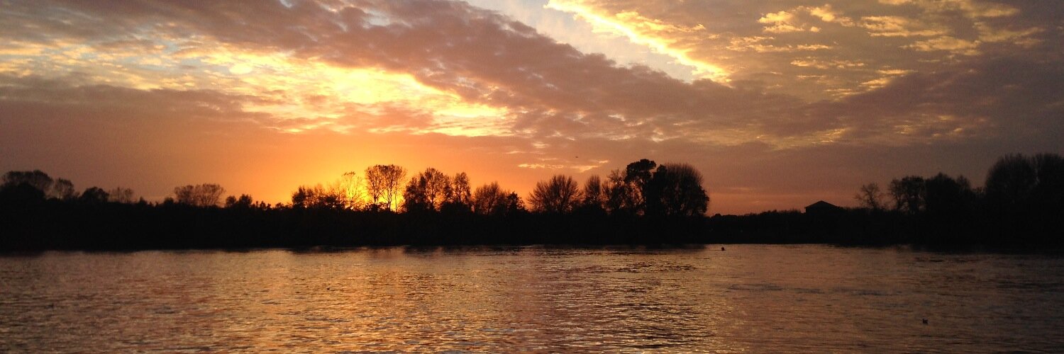 HarrietArkell's profile banner image